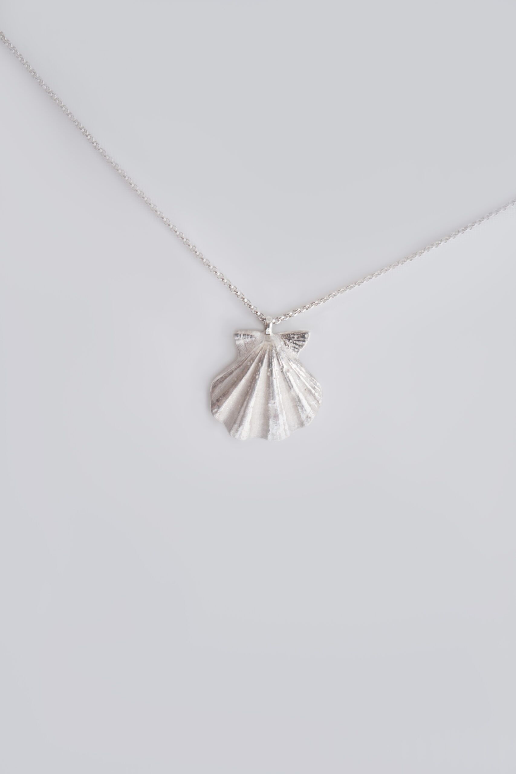 ShellNo_1 ShellNo 1 scaled