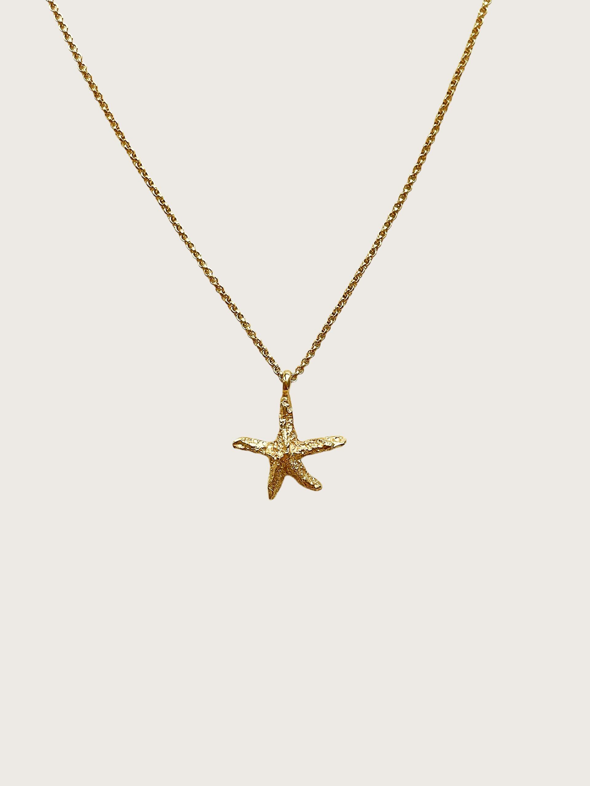 Projekt Hintergrund entfernen Projekt Hintergrund entfernen 10 scaled