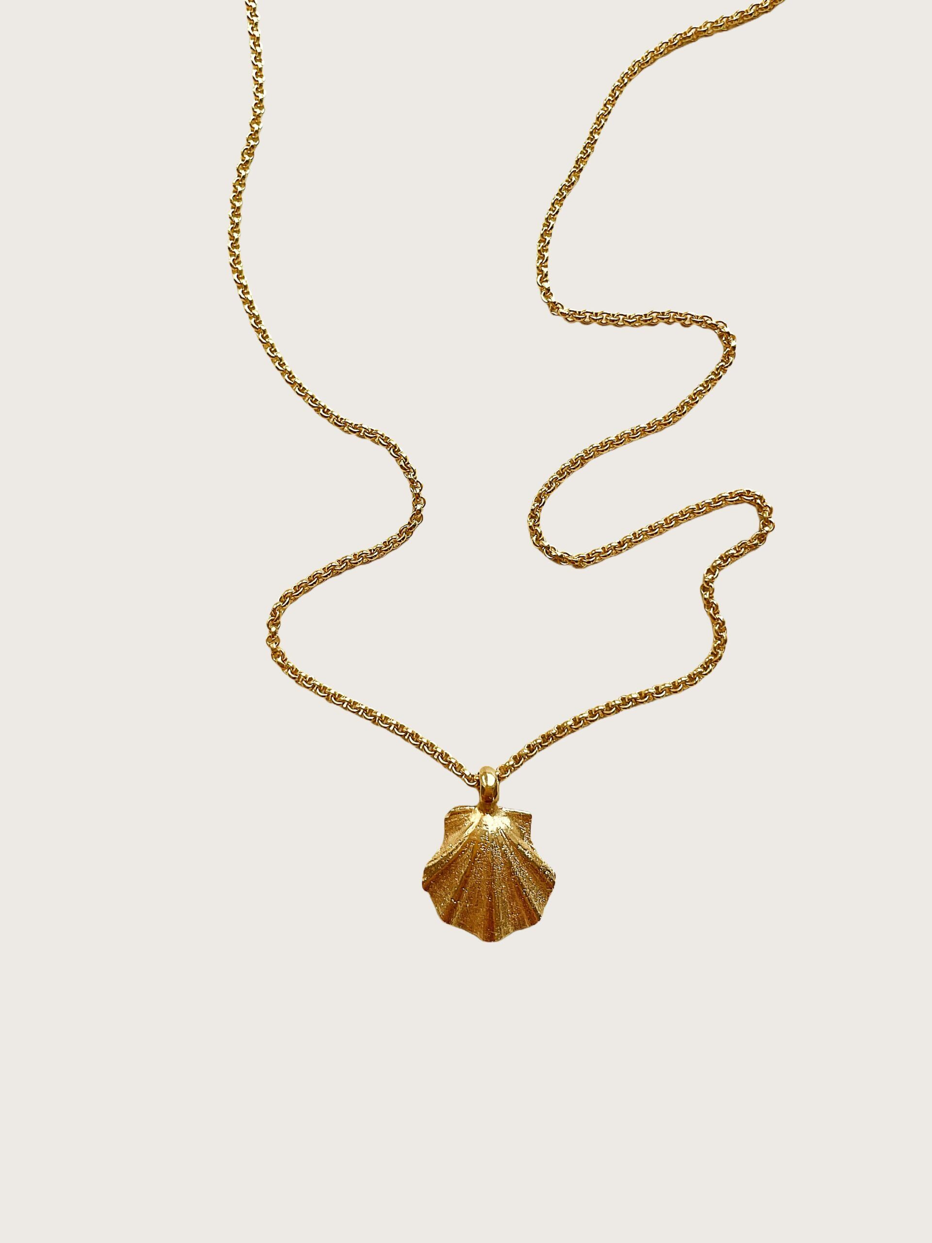 Projekt Hintergrund entfernen Projekt Hintergrund entfernen 17 scaled