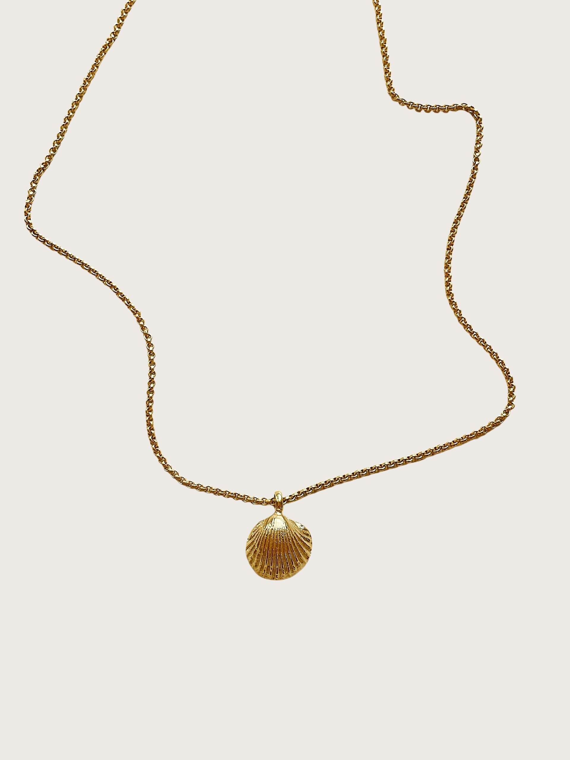 Projekt Hintergrund entfernen Projekt Hintergrund entfernen 9 scaled