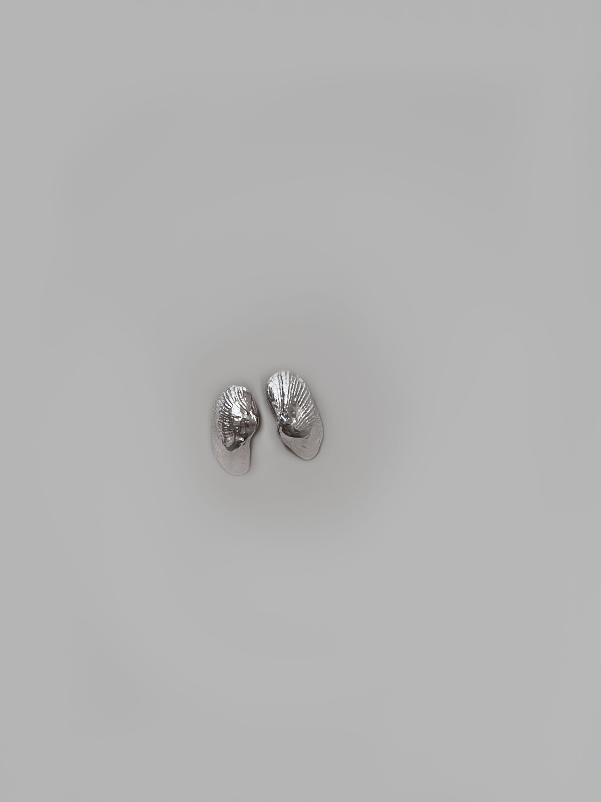 Shell No.2 - Image 3