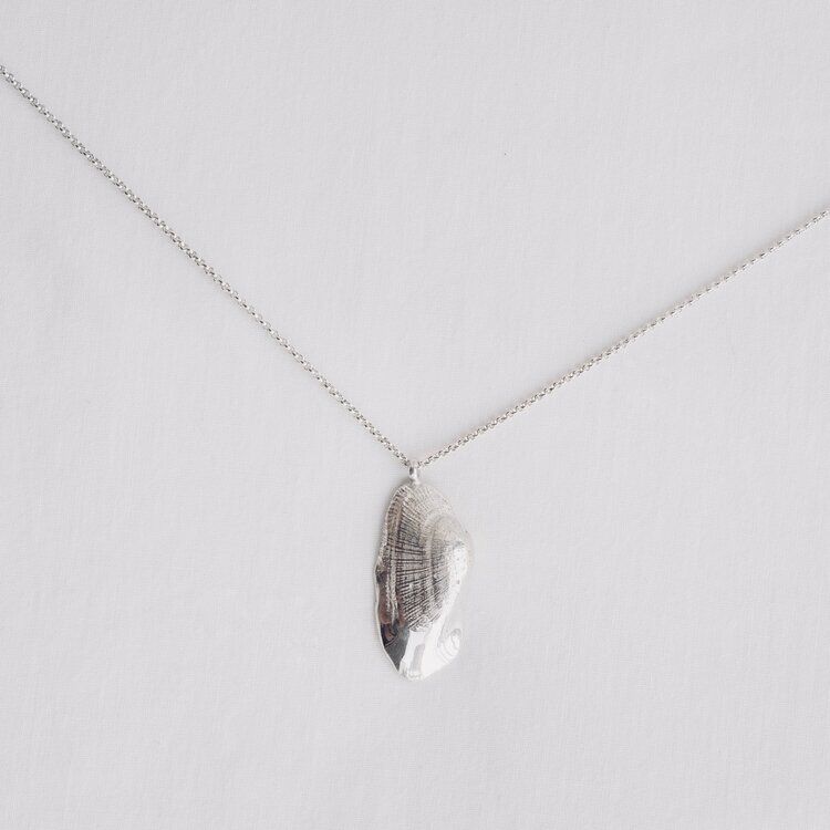 Shell No.2 - Image 3