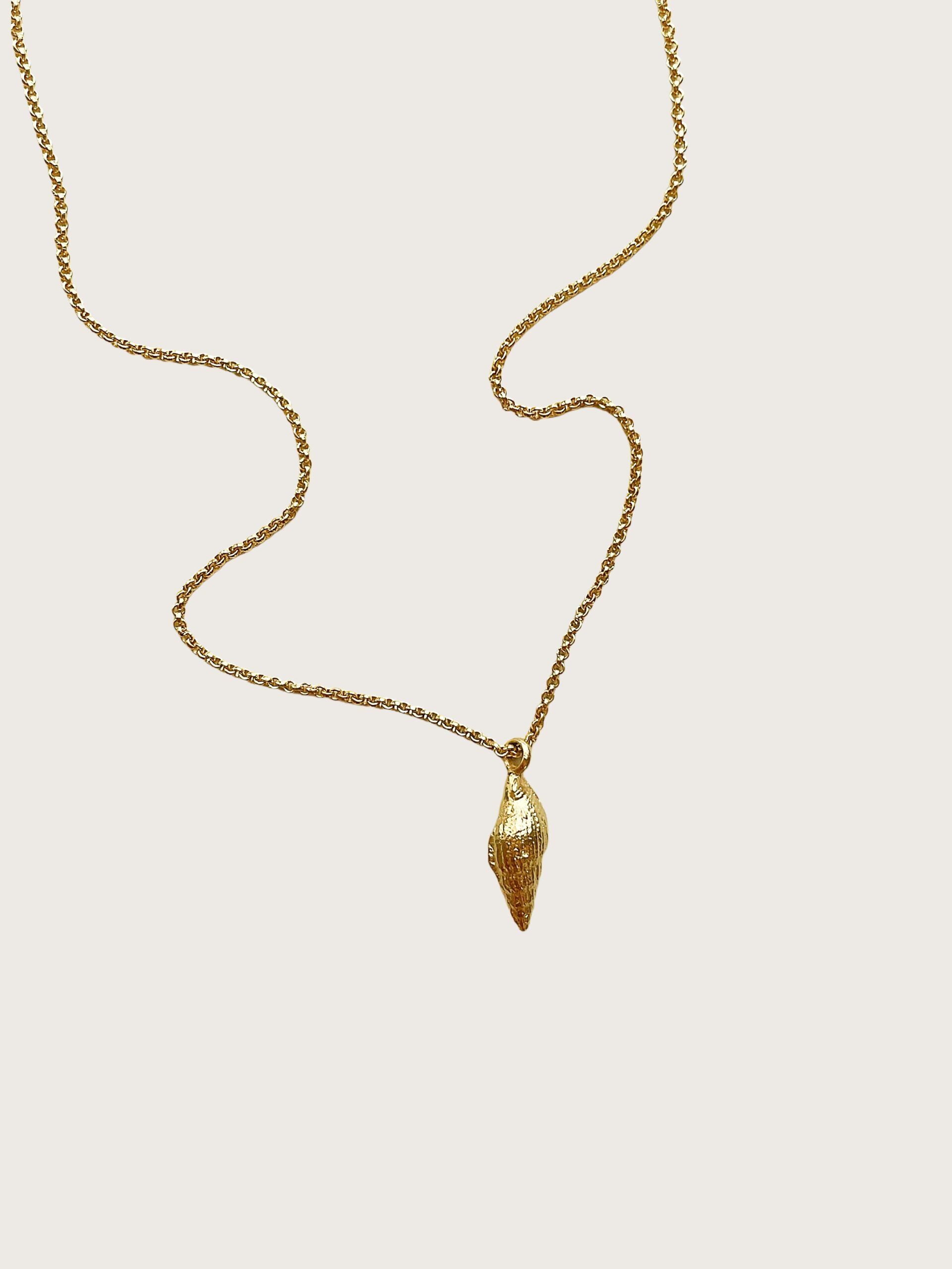 Shell No.7 I Gold